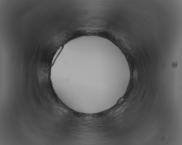 X0000089391300200707131711
