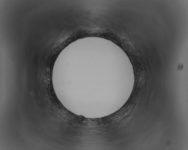 X0000089391301200707131711