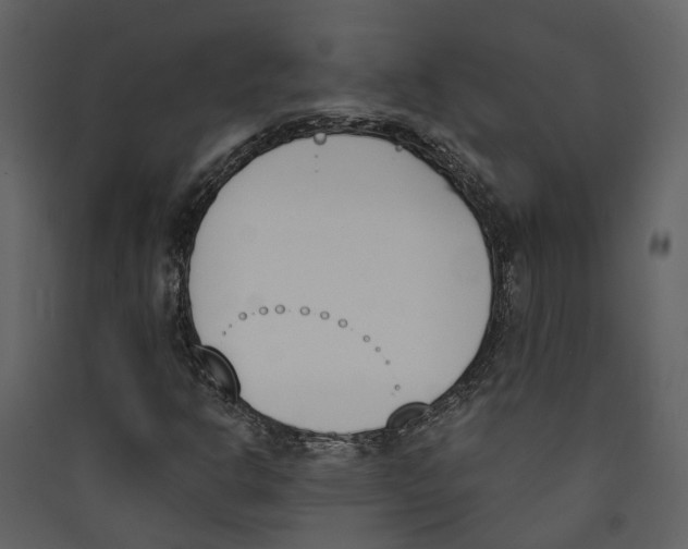 X0000089391302200707131711
