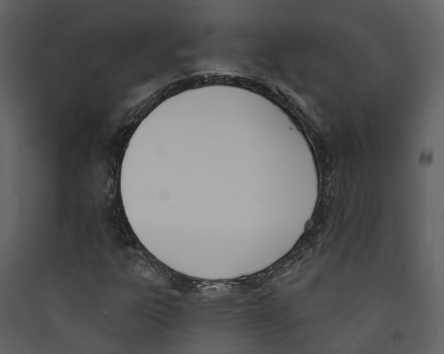 X0000089391303200707131711