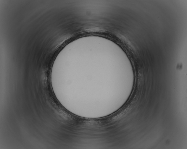 X0000089391305200707131711