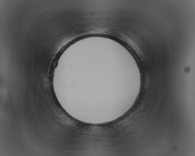 X0000089391308200707131711