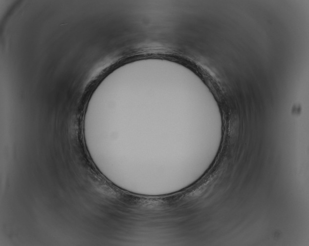 X0000089391309200707131711