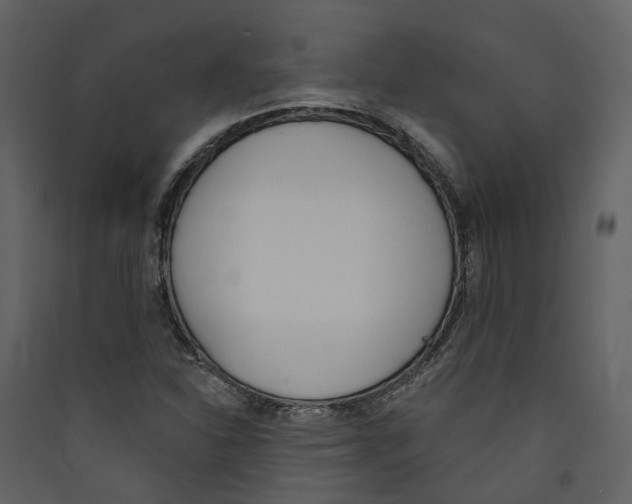X0000089391310200707131711