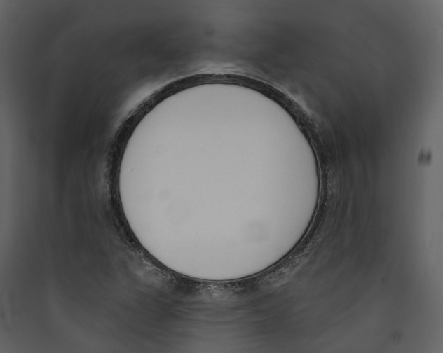 X0000089391311200707131711