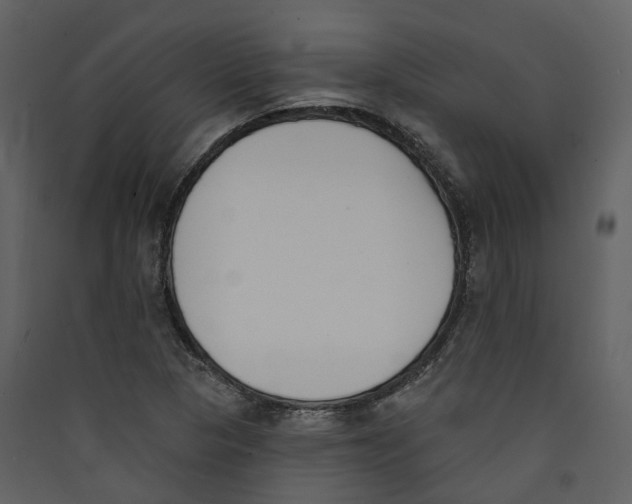 X0000089391313200707131711