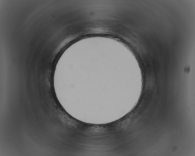 X0000089391314200707131711