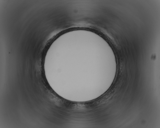 X0000089391315200707131711