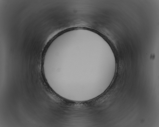 X0000089391316200707131711