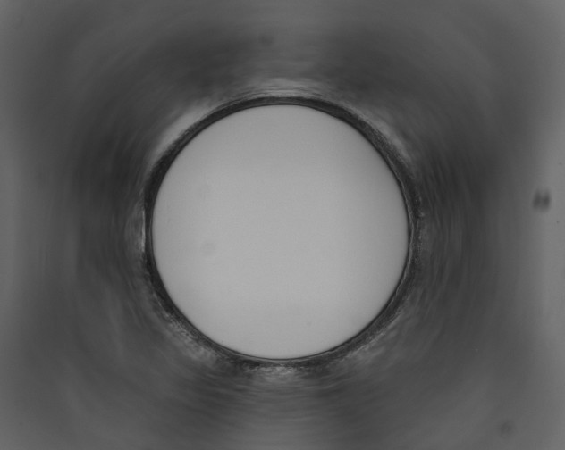 X0000089391317200707131711