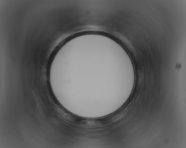 X0000089391318200707131711