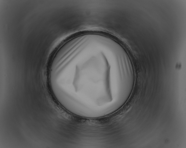 X0000089391319200707131711