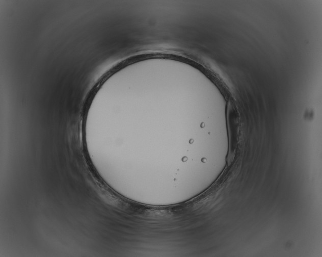 X0000089391320200707131711