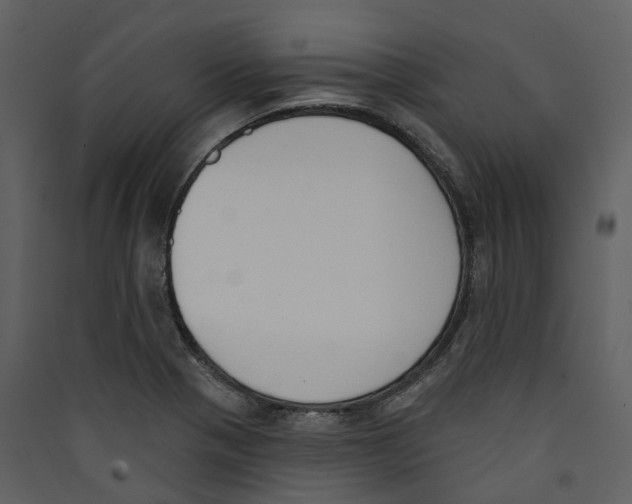 X0000089391321200707131711