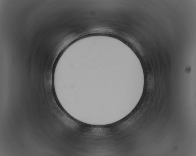 X0000089391322200707131711