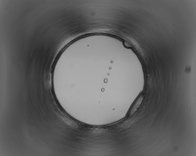 X0000089391324200707131711