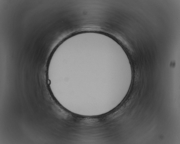 X0000089391325200707131711