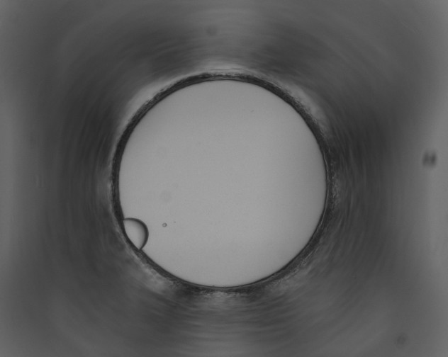 X0000089391327200707131711