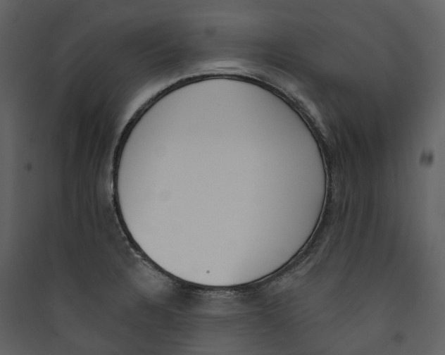 X0000089391328200707131711