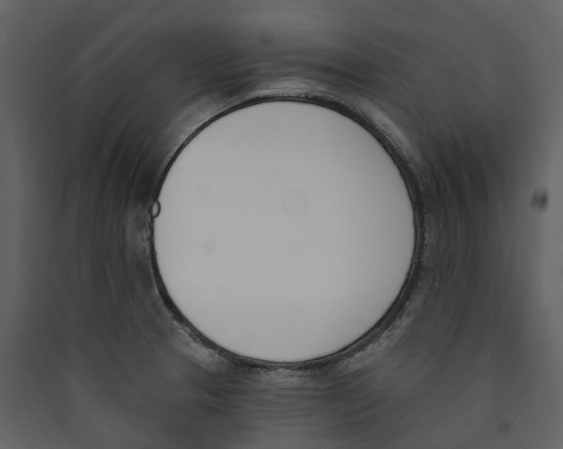 X0000089391329200707131711