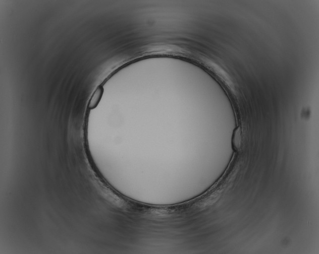 X0000089391330200707131711