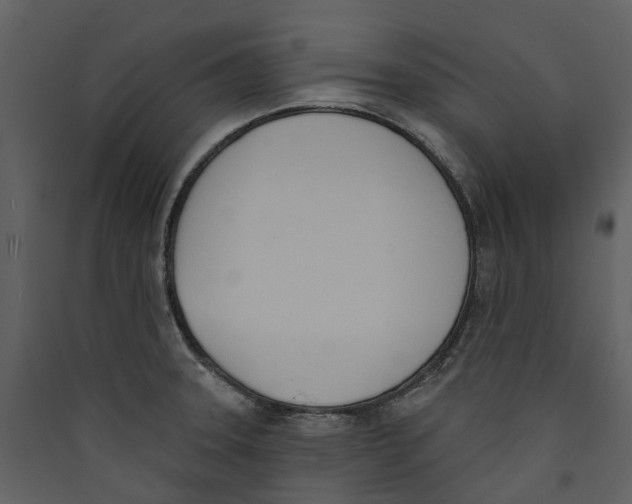X0000089391331200707131711