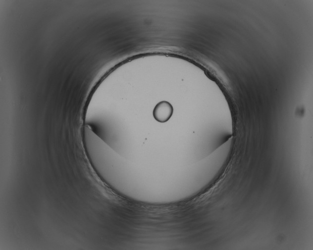 X0000089391332200707131711