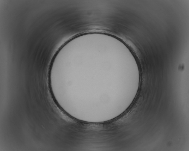 X0000089391333200707131711