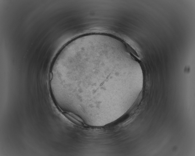 X0000089391334200707131711