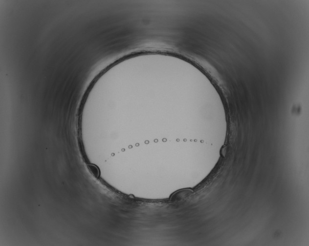 X0000089391335200707131711