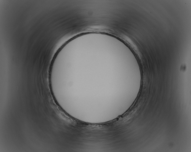 X0000089391336200707131711