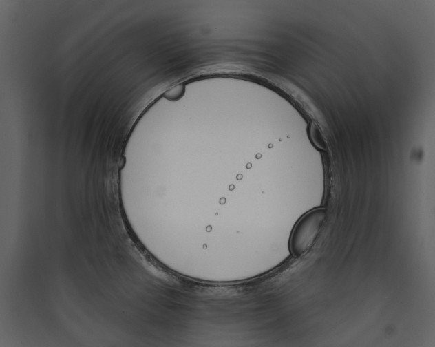 X0000089391337200707131711