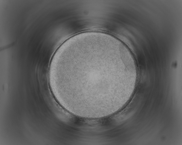 X0000089391338200707131711