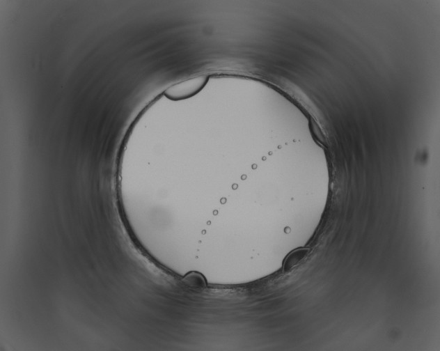 X0000089391339200707131711