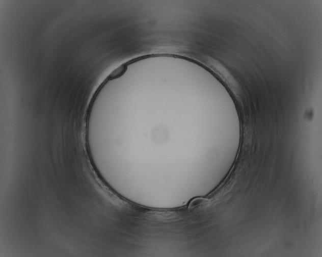 X0000089391340200707131711