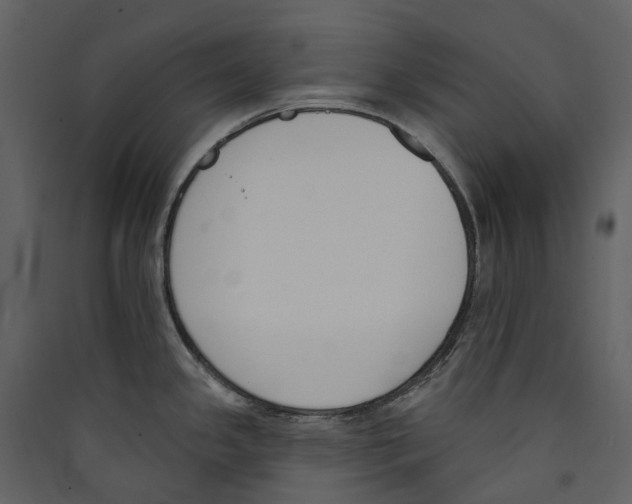 X0000089391341200707131711