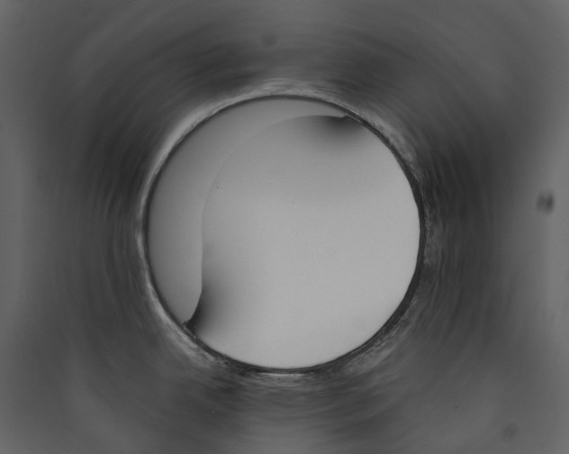 X0000089391342200707131711