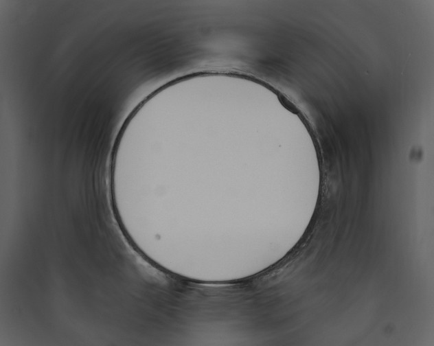 X0000089391343200707131711