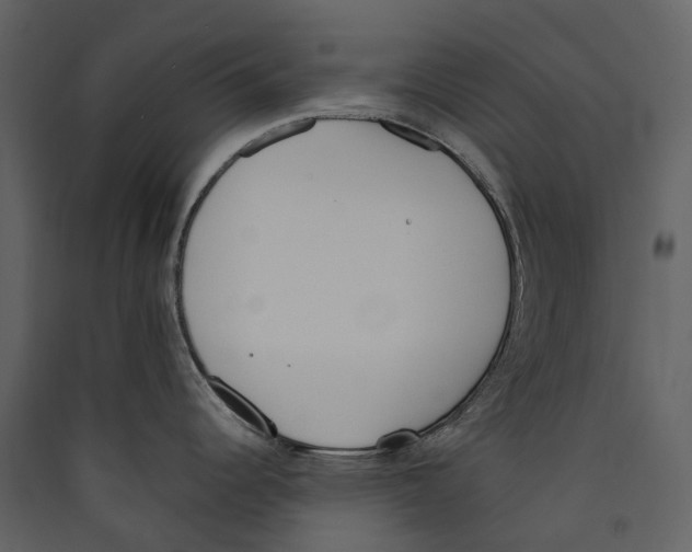 X0000089391344200707131711