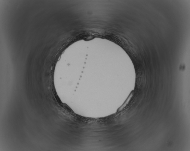 X0000089391345200707131711