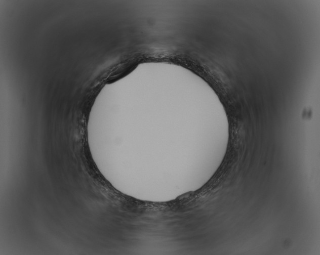X0000089391349200707131711