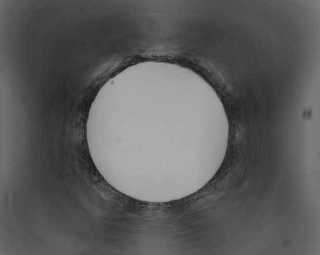 X0000089391350200707131711