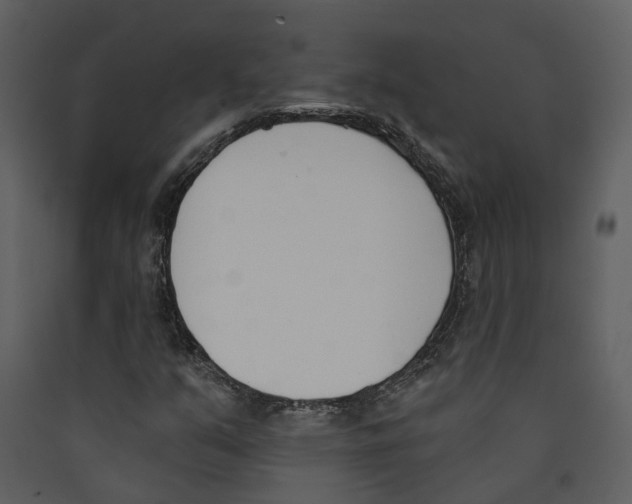 X0000089391351200707131711