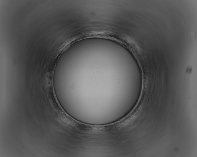 X0000089391353200707131711
