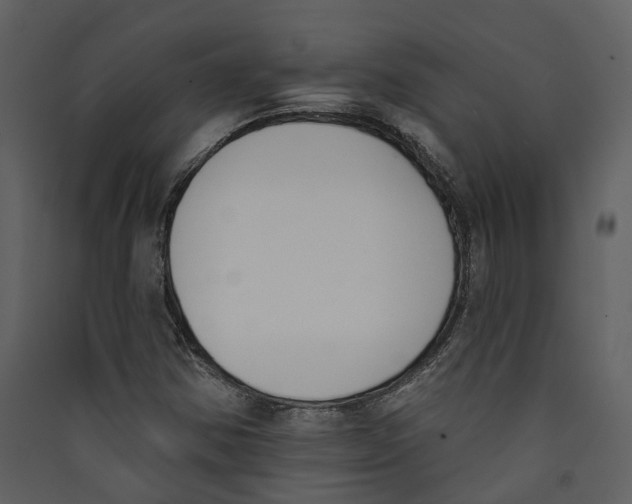 X0000089391354200707131711