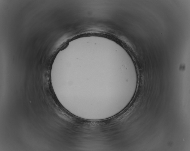 X0000089391355200707131711