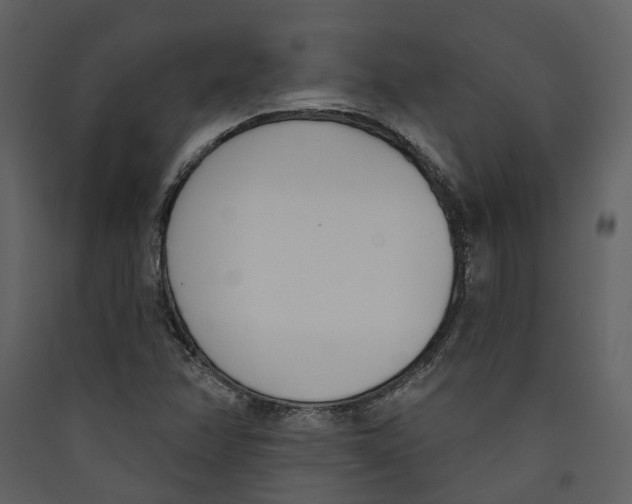 X0000089391358200707131711