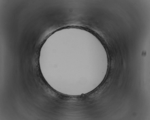 X0000089391359200707131711