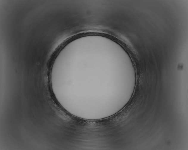 X0000089391360200707131711