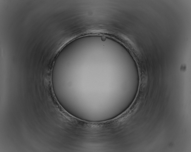 X0000089391361200707131711